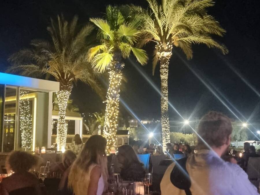 Vip Party της Enelpis