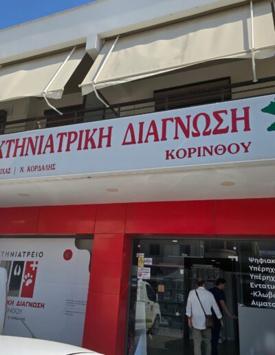 Κορδαλής Νικόλαος - Μίχας Μιχάλης - Κτηνιατρική Διάγνωση